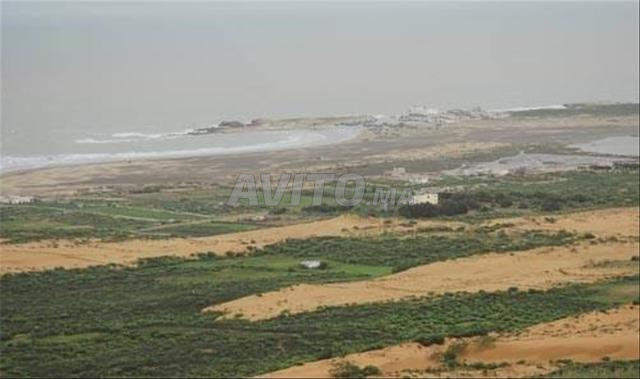أرض محفظة على بعد 2 كيلومتر من شاطئ بحيبح