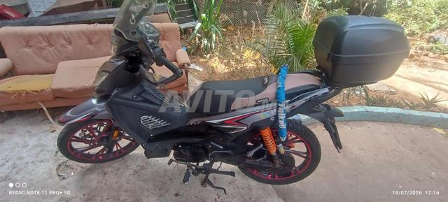 Moto Spring 2020 - 2
