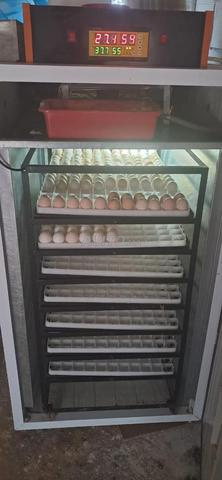 Incubateur 1232