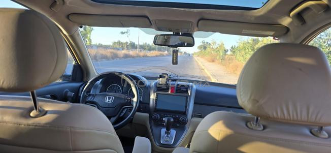 HONDA CR-V 2010 10CV 650DH DARIBA