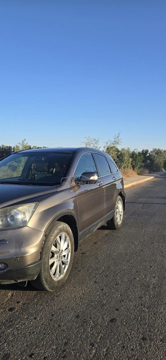 HONDA CR-V 2010 10CV 650DH DARIBA