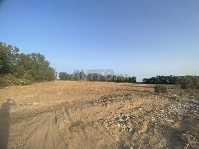 Terrain de 12000m² sur la route côtière à Azemmour