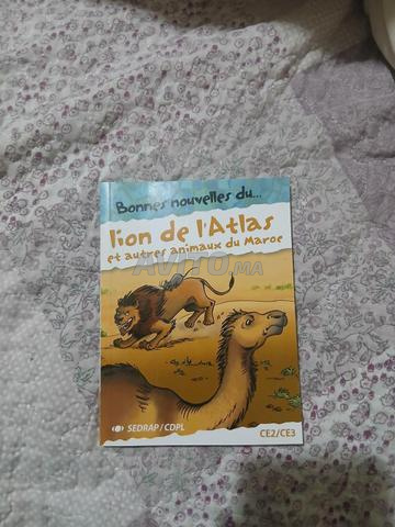 أخبار سارة عن... أسد الأطلس للسنتين الثانية والثالثة ابتدائي