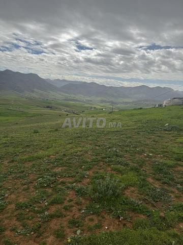 أكلموس جماعة سيدي حسين الكعيدة - 2