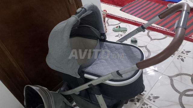 بوسيت بقا نقية للبيع العرائش تطوان