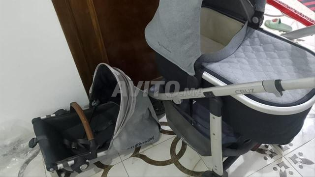 بوسيت بقا نقية للبيع العرائش تطوان - 2