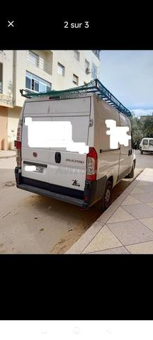 فيات دوكاتو - 2