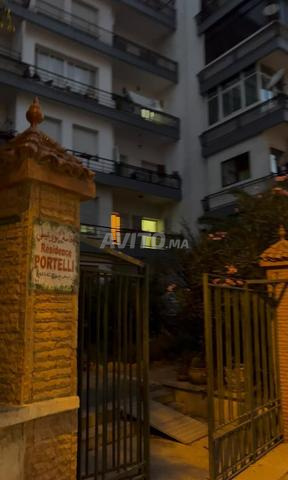Rue Mohamed Lotfi Belvédère - 2