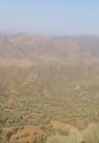 أرض للبيع بالمنظر الجميل مساحتها 3 هكتار - 2