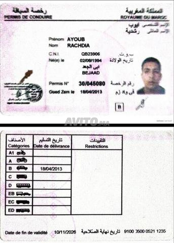 سائق خاص، مرافق، وحارس شخصي - 2