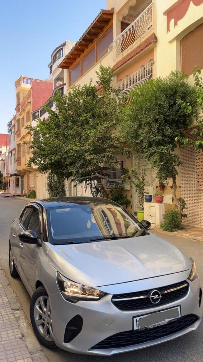 متواجدة ب القصر الكبير 