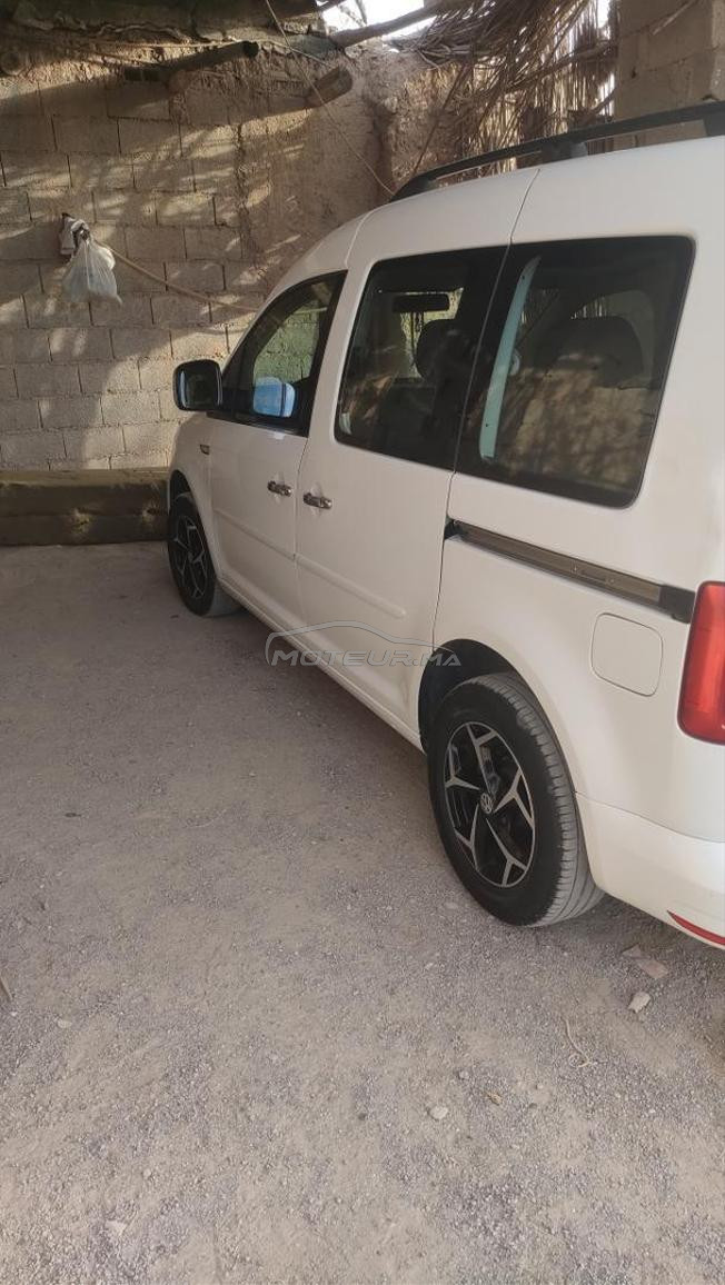 المحاميد 10