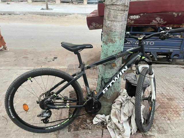 بتوين نقية للبيع - 2