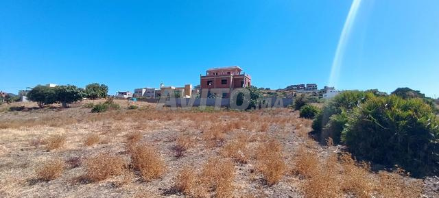 Terrain à vendre à Ouedallian, 400 m², prix réduit - 2
