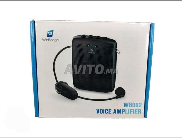 Amplificateur vocal WinBridge WB002 - 2