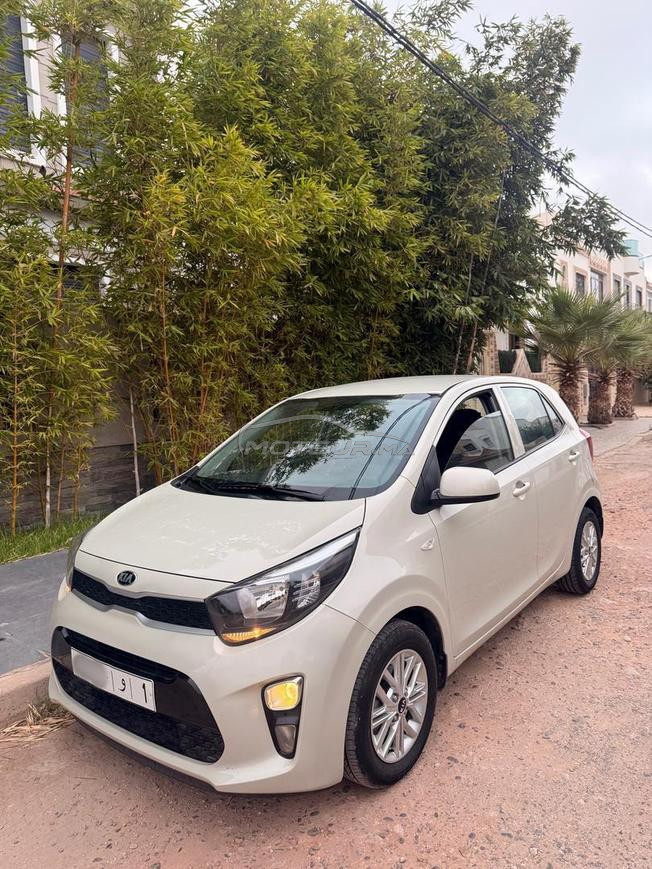 kia picanto  