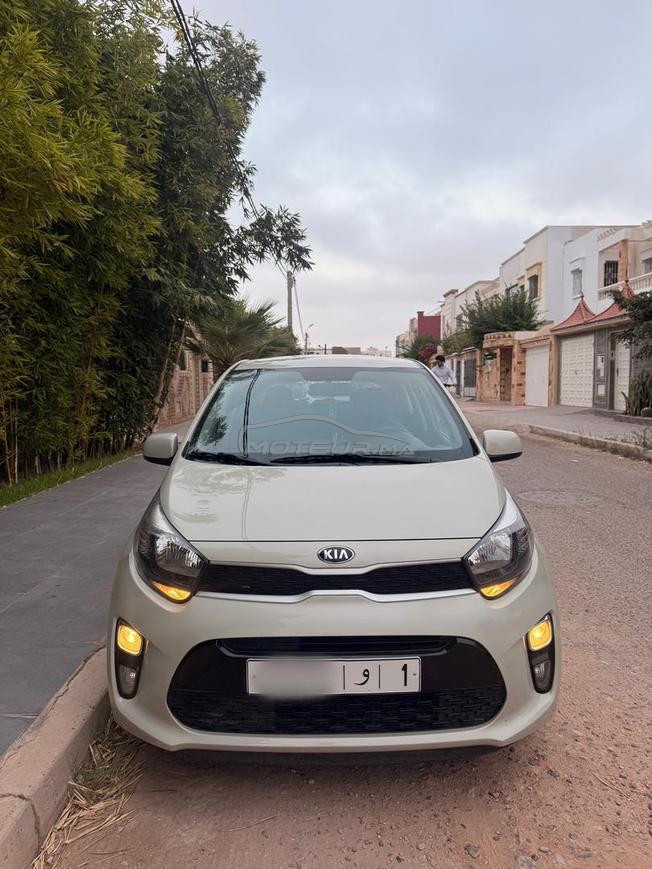 kia picanto  