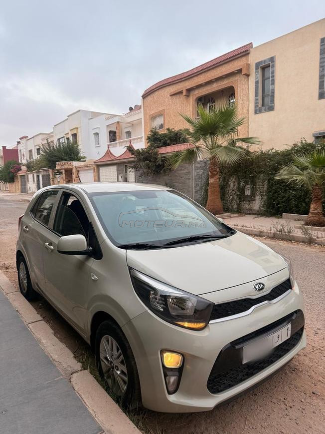 kia picanto  