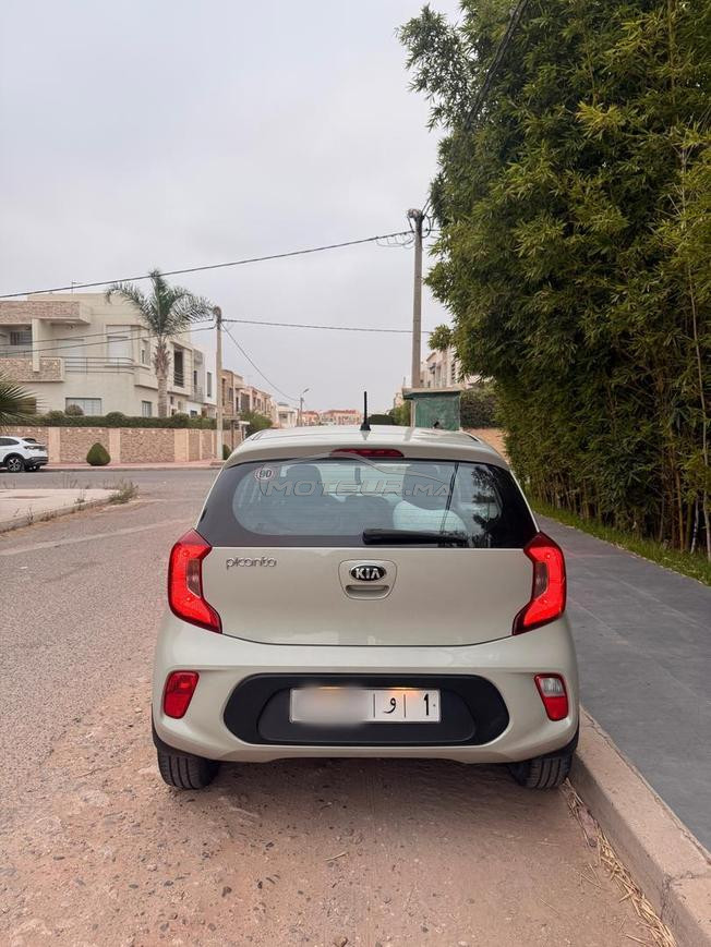 kia picanto  