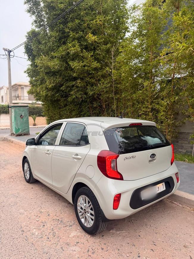 kia picanto  