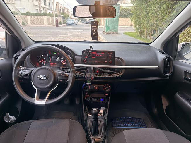 kia picanto  
