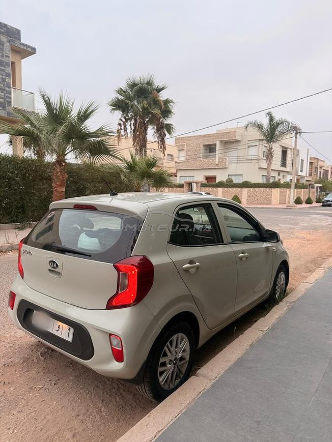 kia picanto  