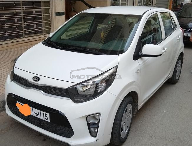 Kia Picanto Essence Manuelle 2021 à Fès