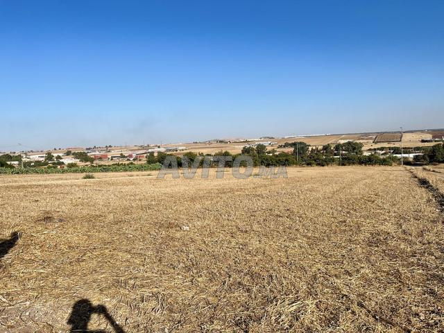Terrain à louer - 2