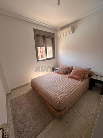appartement à louer - 2