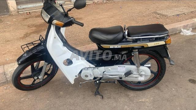 c50 موديل 2022/11 - 2