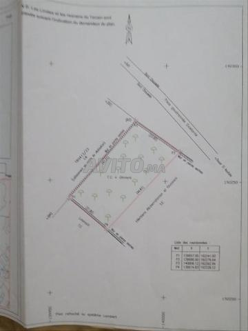 أرض 1500 متر مربع للبيع بآسفي - واجهتان - 2