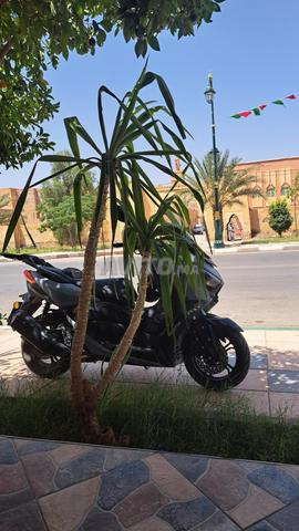مدينة الرشيدية - 2