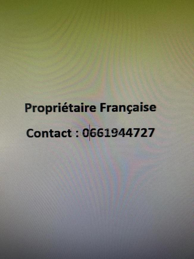 voiture à vendre 