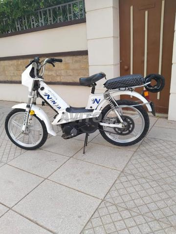 2016 Oujda Ninja pure - 2