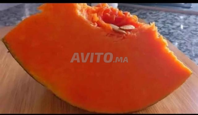 قرعة حمراء - 2