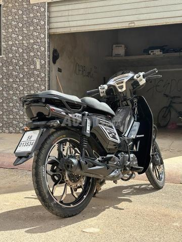 33 becane 2024 - 2