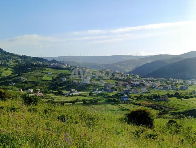 Terrain à vendre à Ouadalian, superficie 2406 m², titré