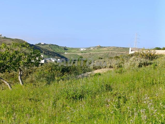 Terrain à vendre à Ouedallian, titré, superficie 2406 m - 2