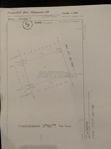 Terrain Ain Chock 202m2 R2 - 2
