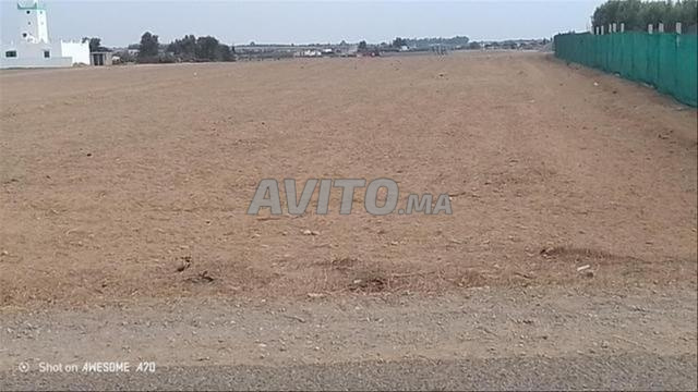 Terrains conservés et fermes · Sidi Rahal - 2
