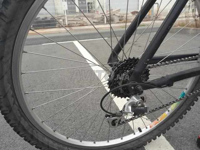 VTT Cannondale M900 CAD3 - 2