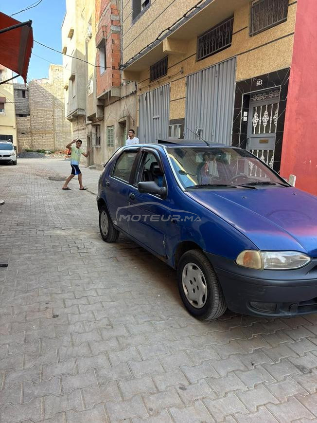 باليو فيات