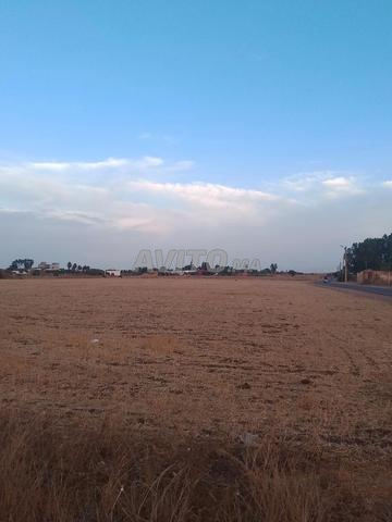 Ouled Yahya Daroua - 2