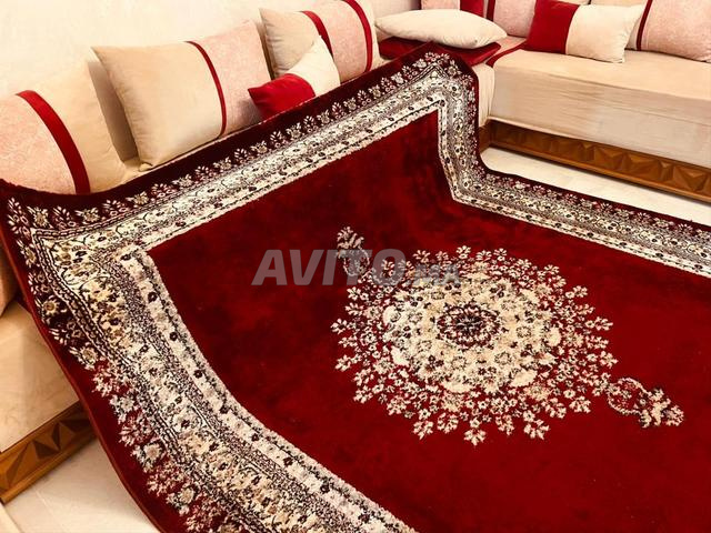 Tapis 490cm×240cm - 2