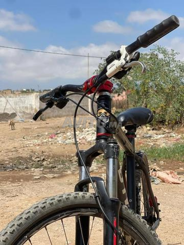 بيت وين 520 - 2