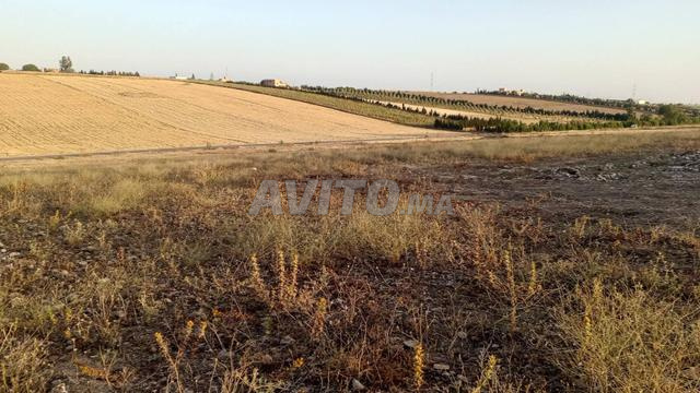 أرض فلاحية للبيع بحالة جيدة ومحفظة - 2
