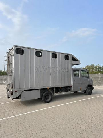 Camion de transport de chevaux - 2