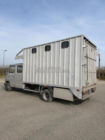 Camion de transport de chevaux