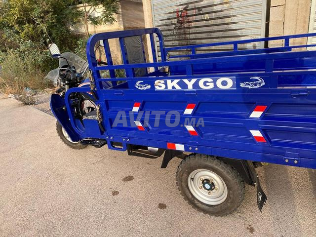 treperter Skaygo 2026 - 2