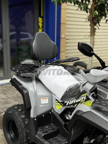 Quad LPR Hawk 250R 2026 - 2